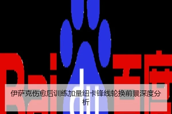伊萨克伤愈后训练加量纽卡锋线轮换前景深度分析